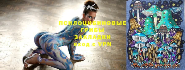 COCAINE Богородицк