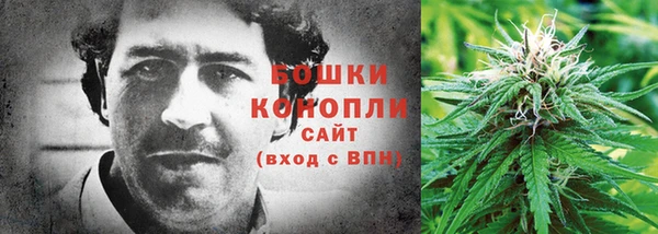 COCAINE Богородицк