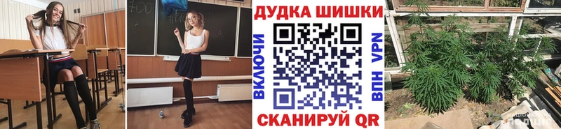 Канабис планчик  где найти   Тверь 